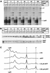 FIG. 8.