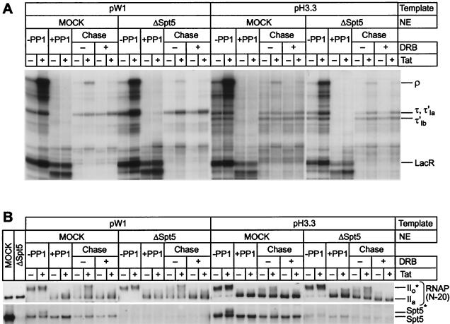 FIG. 9.