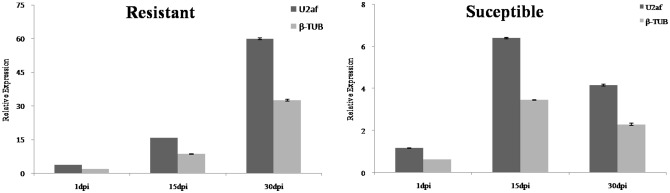 Fig 5