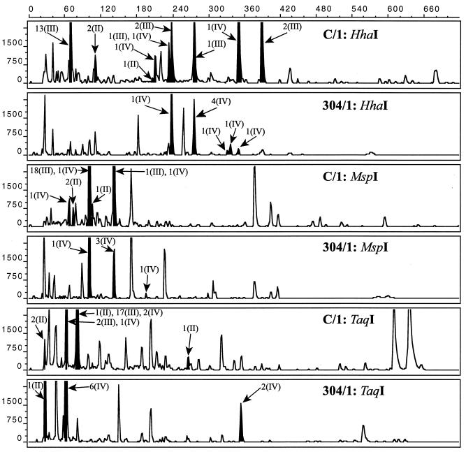 FIG. 6