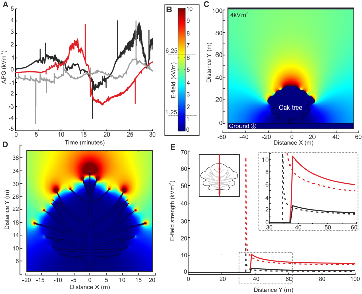 Figure 1