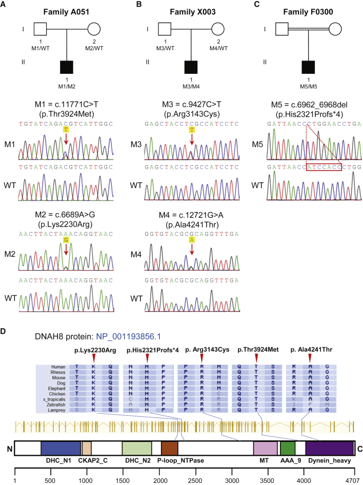 Figure 1