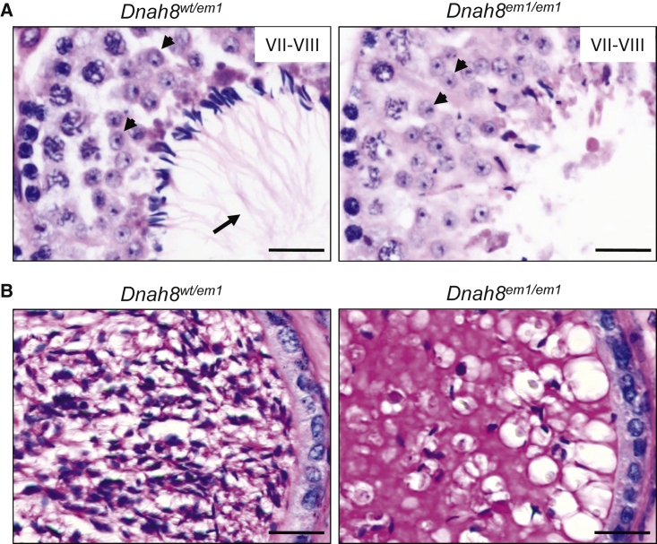 Figure 6