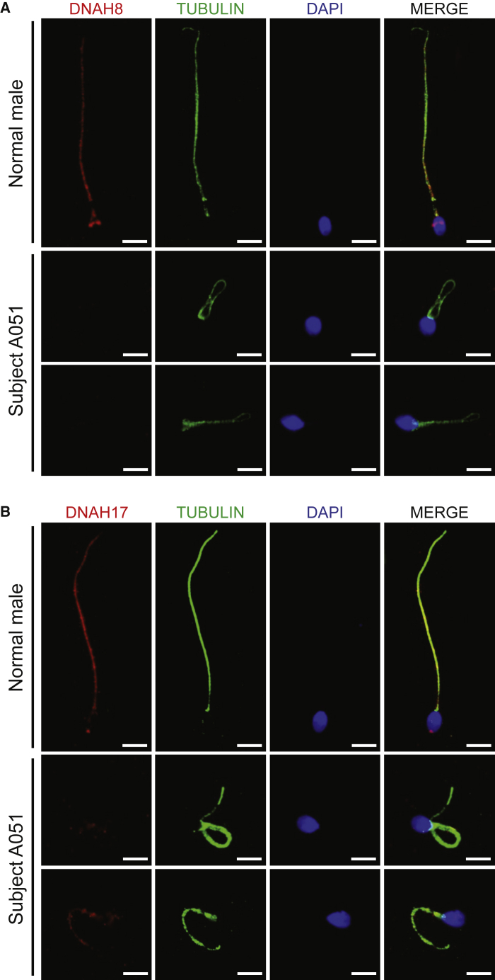 Figure 4