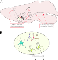 Fig. 5.