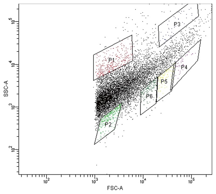 Fig. 2