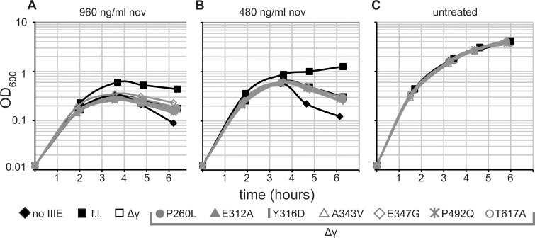 Fig 6