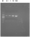Figure 5.