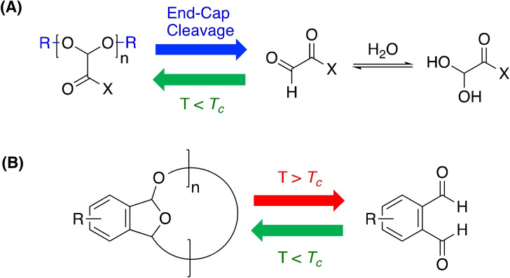 Scheme 5