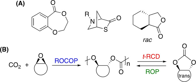 Scheme 6