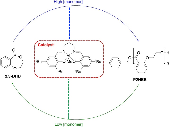 Scheme 8