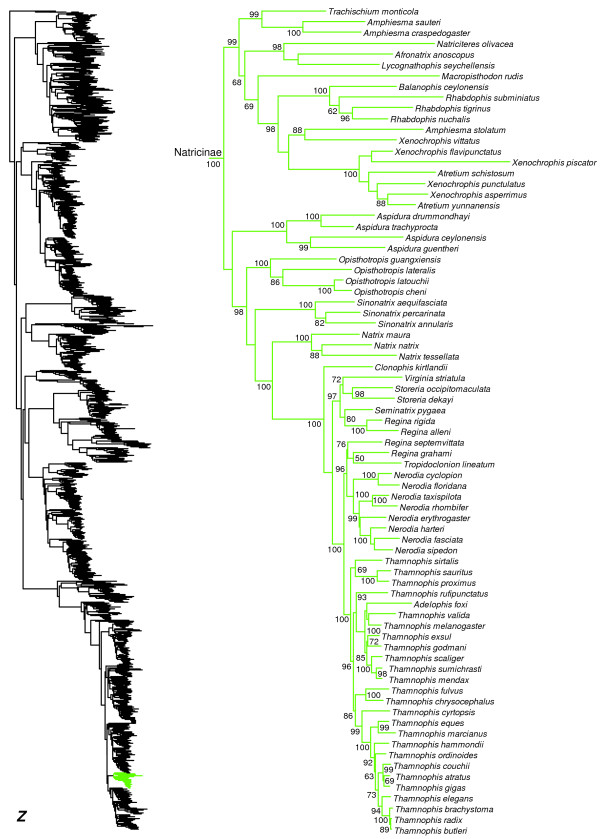 Figure 27