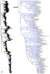 Figure 24