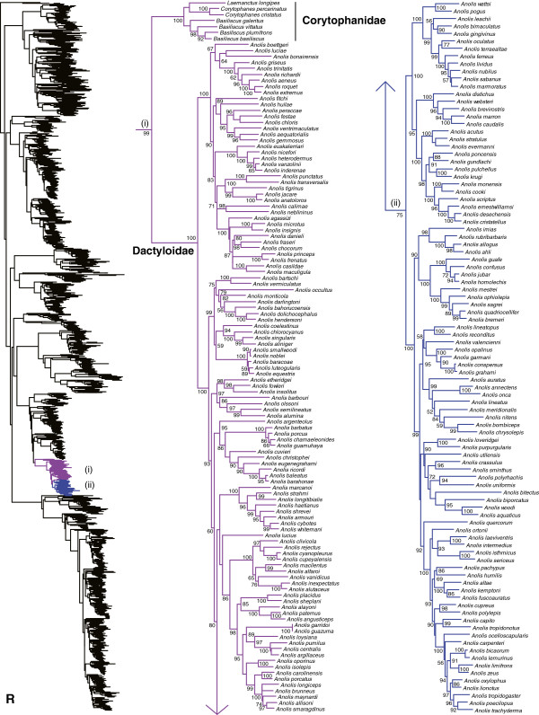 Figure 19