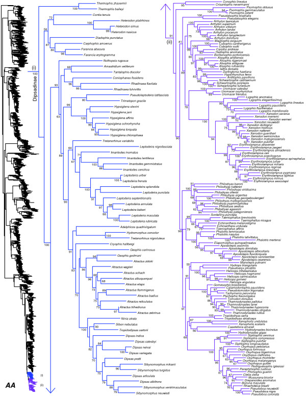 Figure 28