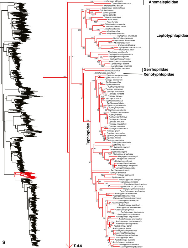 Figure 20