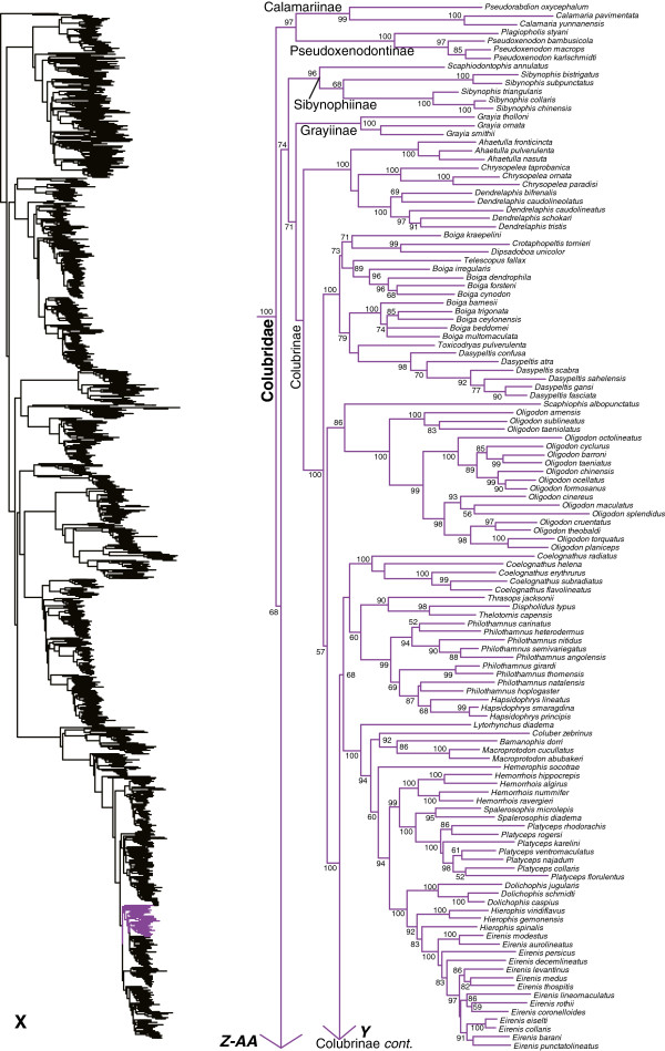 Figure 25