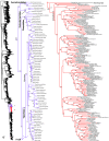 Figure 22