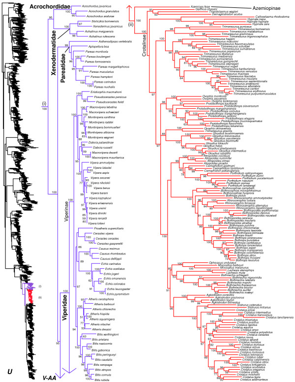 Figure 22