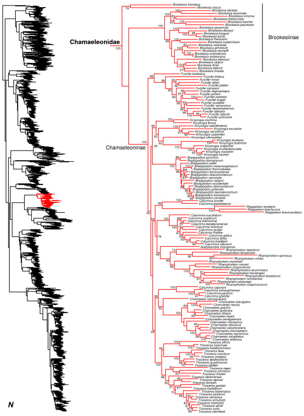 Figure 15