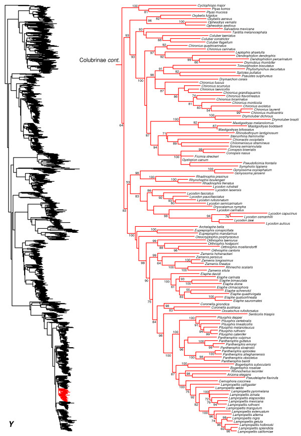 Figure 26