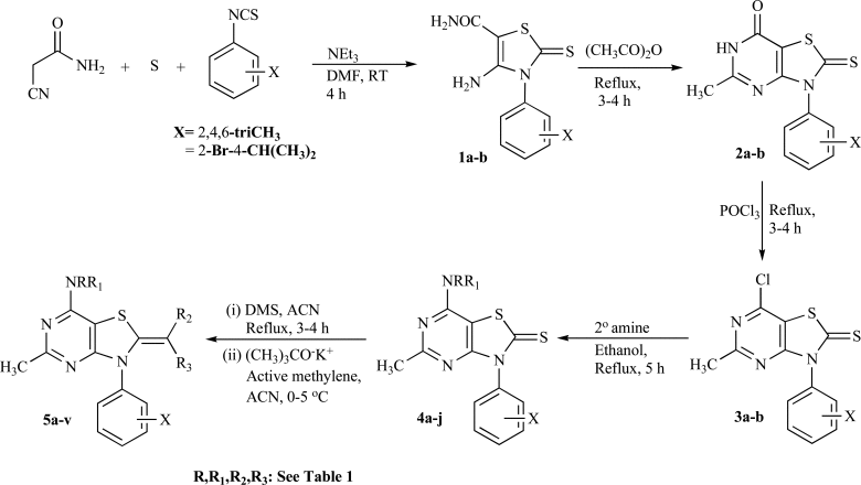 Scheme (1)