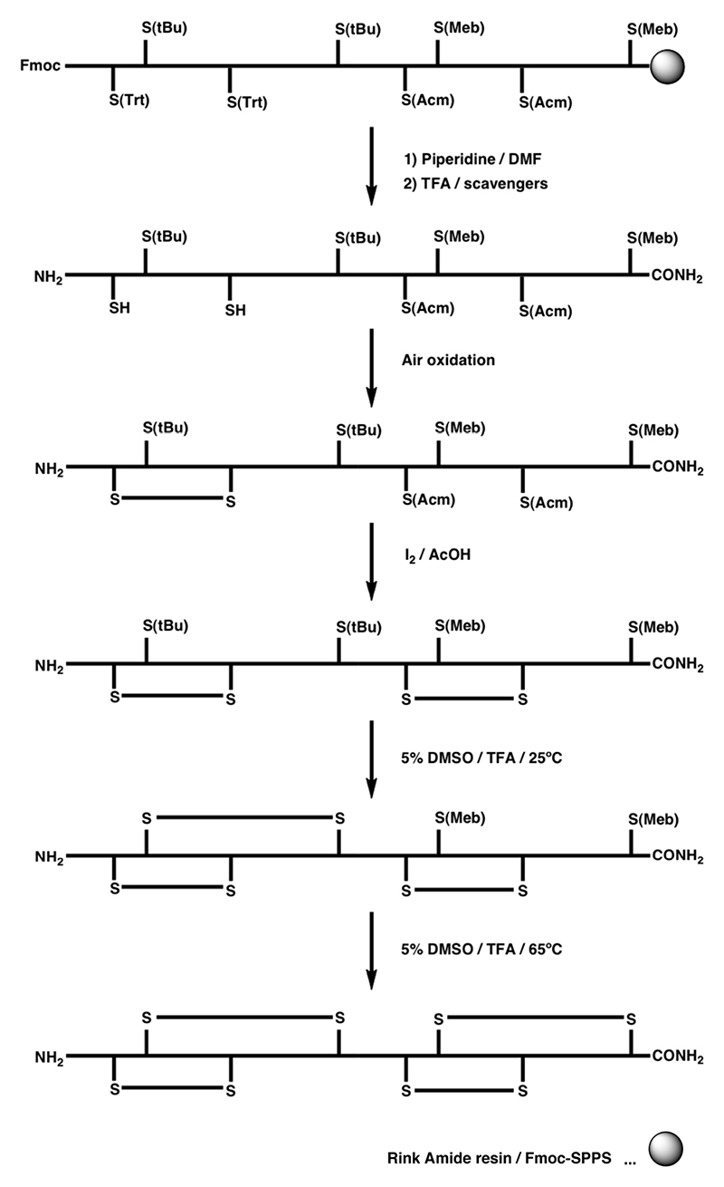 Scheme 3