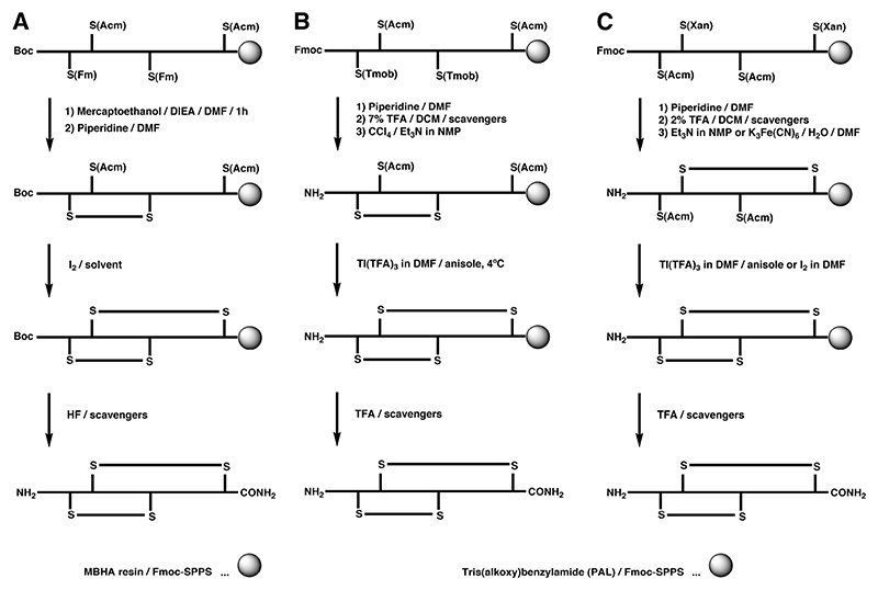 Scheme 4