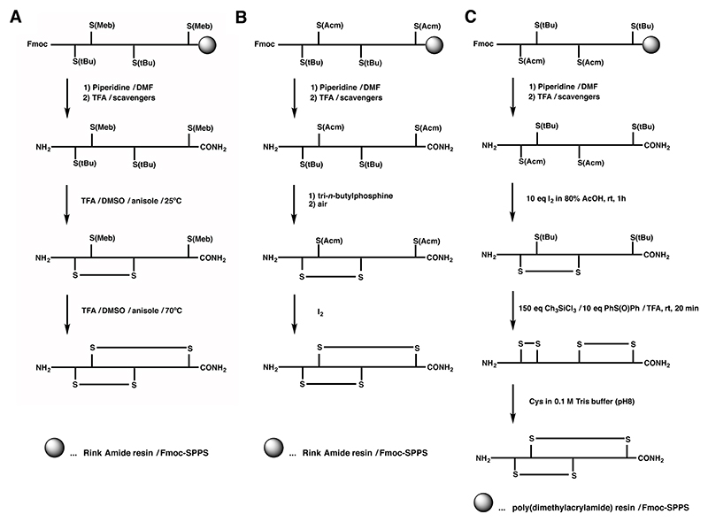 Scheme 2