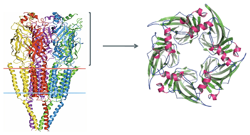 Figure 10