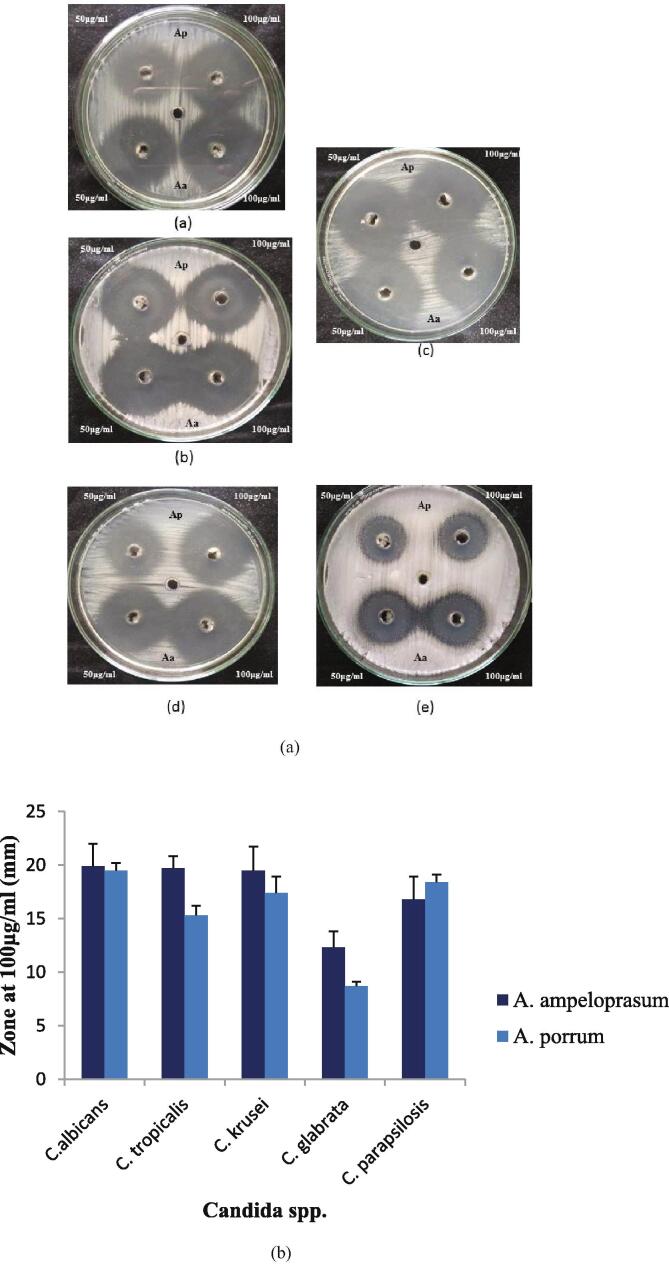 Fig. 4