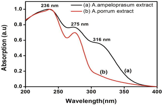 Fig.1