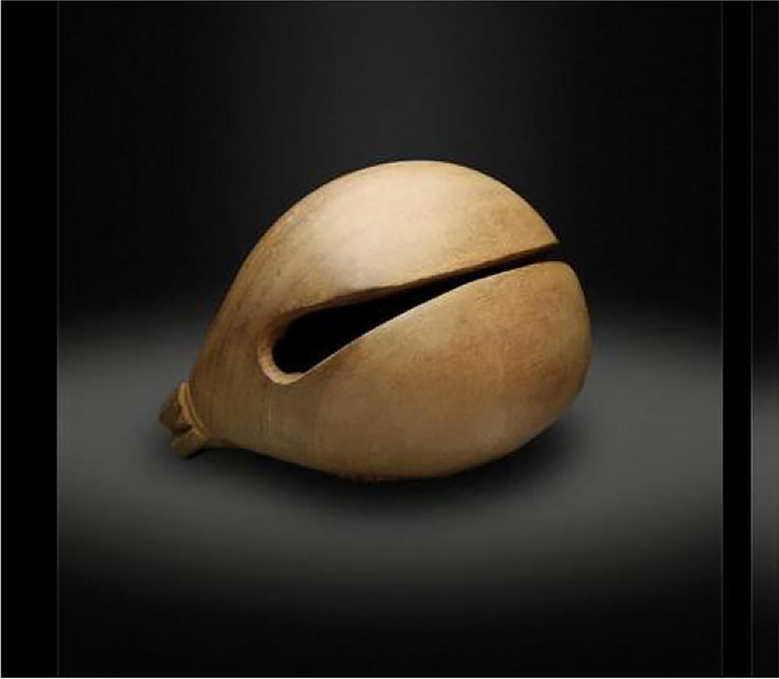 Fig. 1