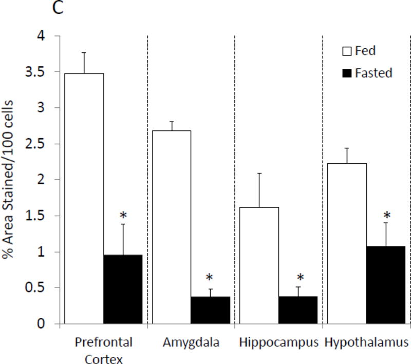 Figure. 1