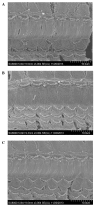 Figure 3.