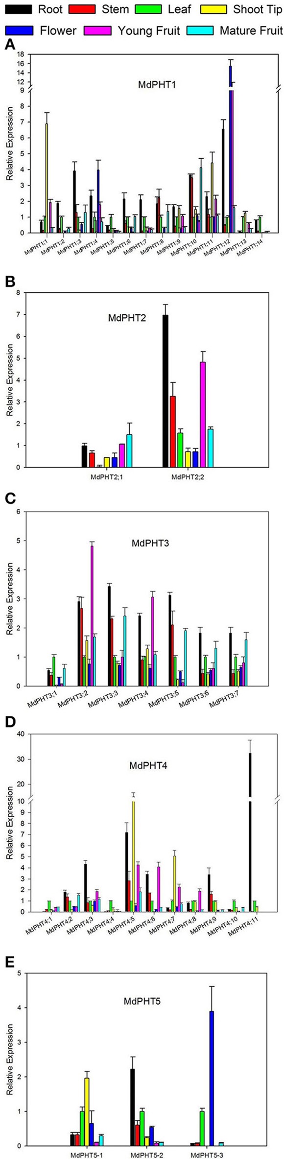 Figure 5