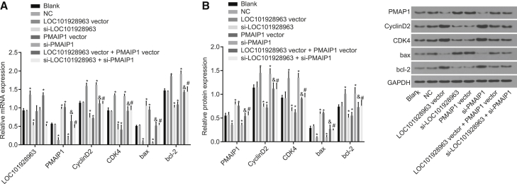 Figure 6