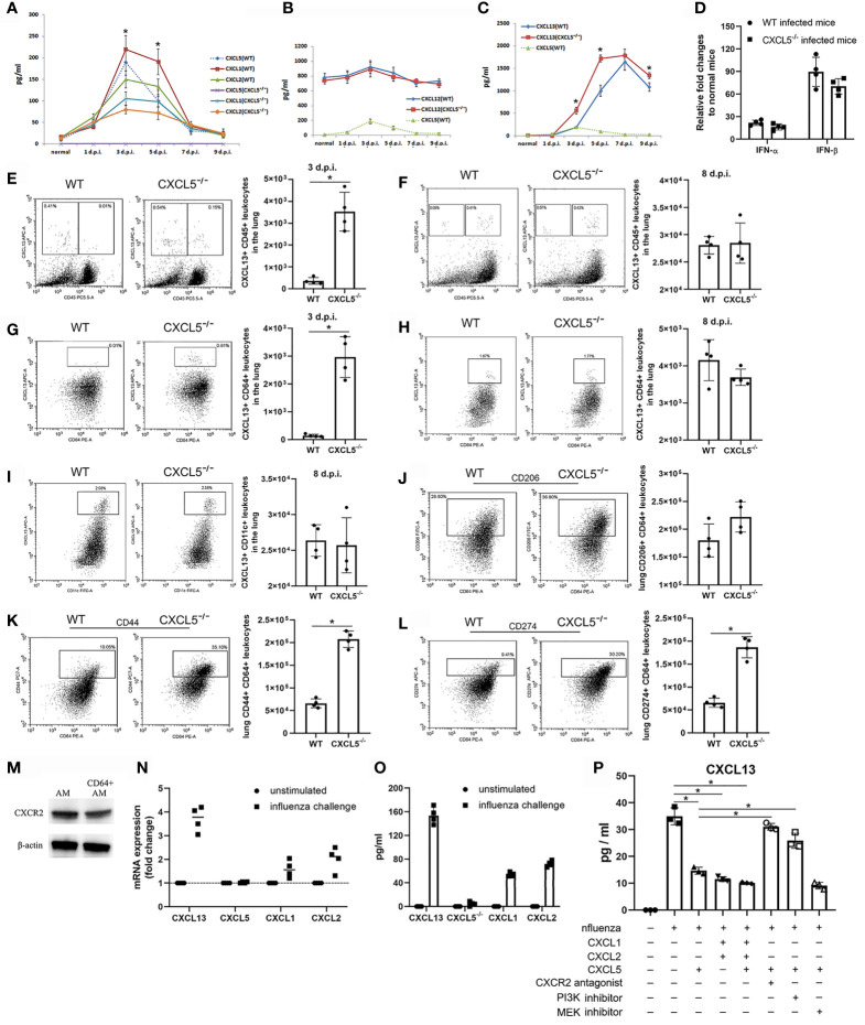 Figure 6