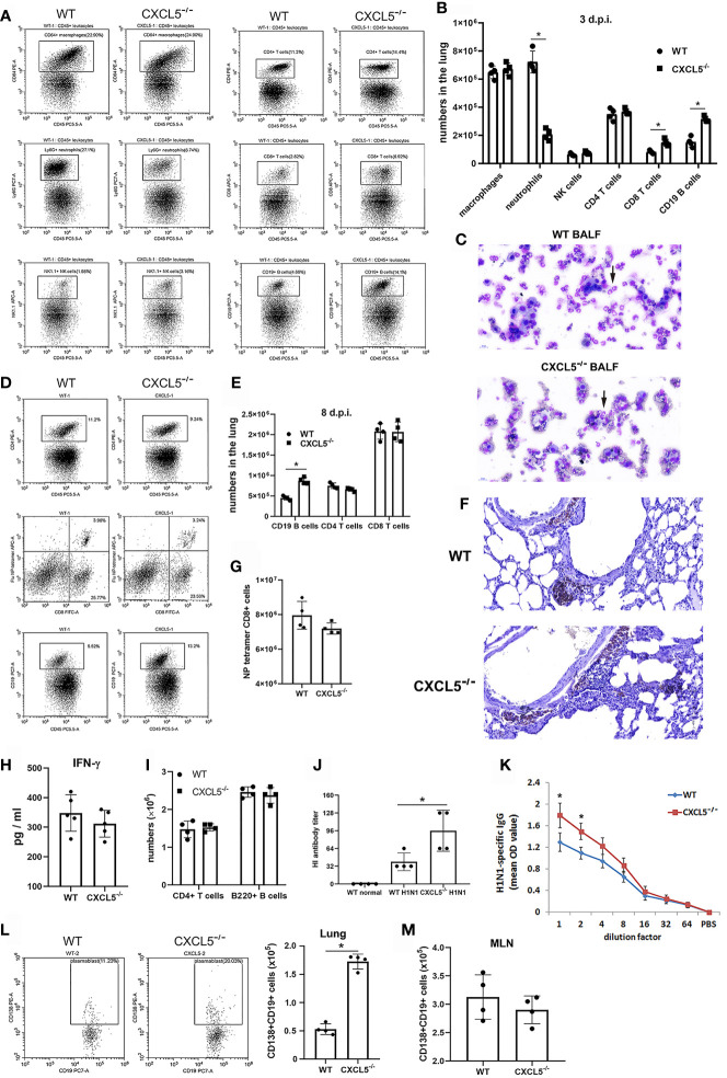 Figure 5