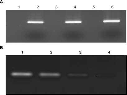 FIG. 5.