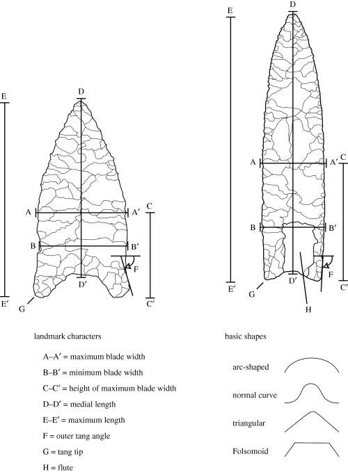 Figure 2.