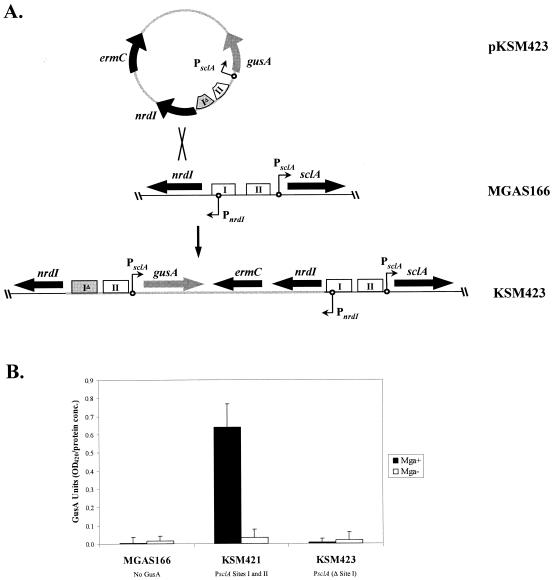 FIG. 6.