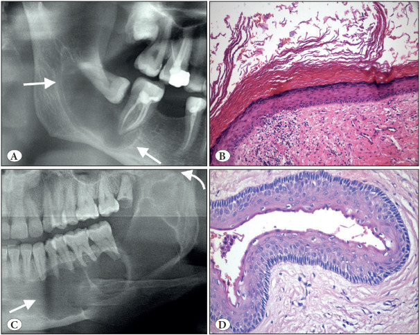 Figure 10