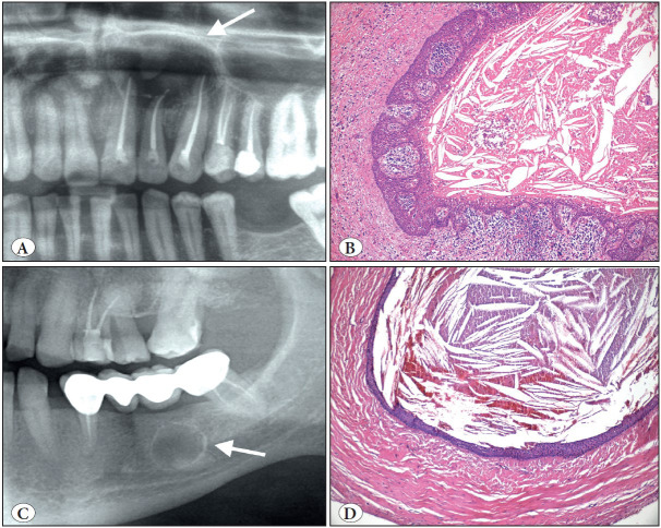 Figure 9