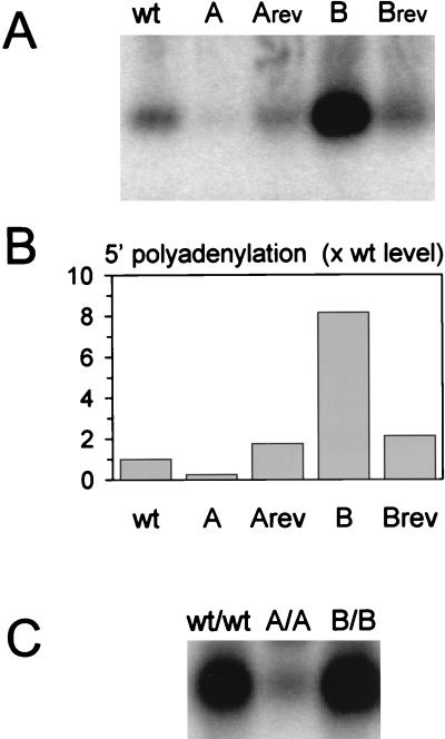 FIG. 6