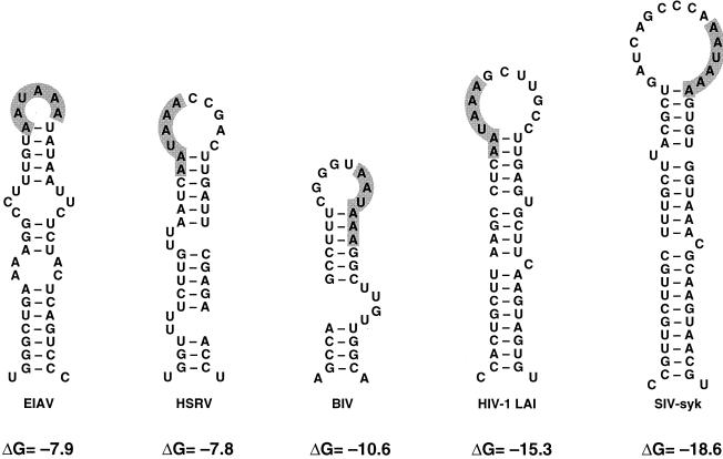 FIG. 8