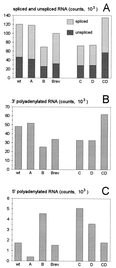 FIG. 5