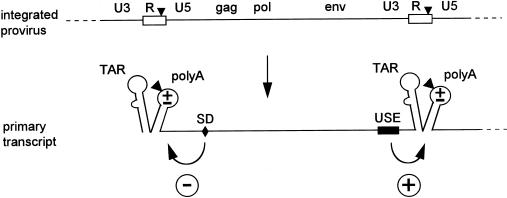 FIG. 7