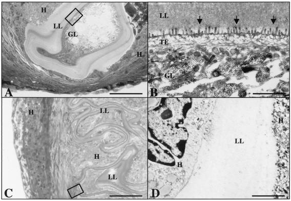 FIG. 5.