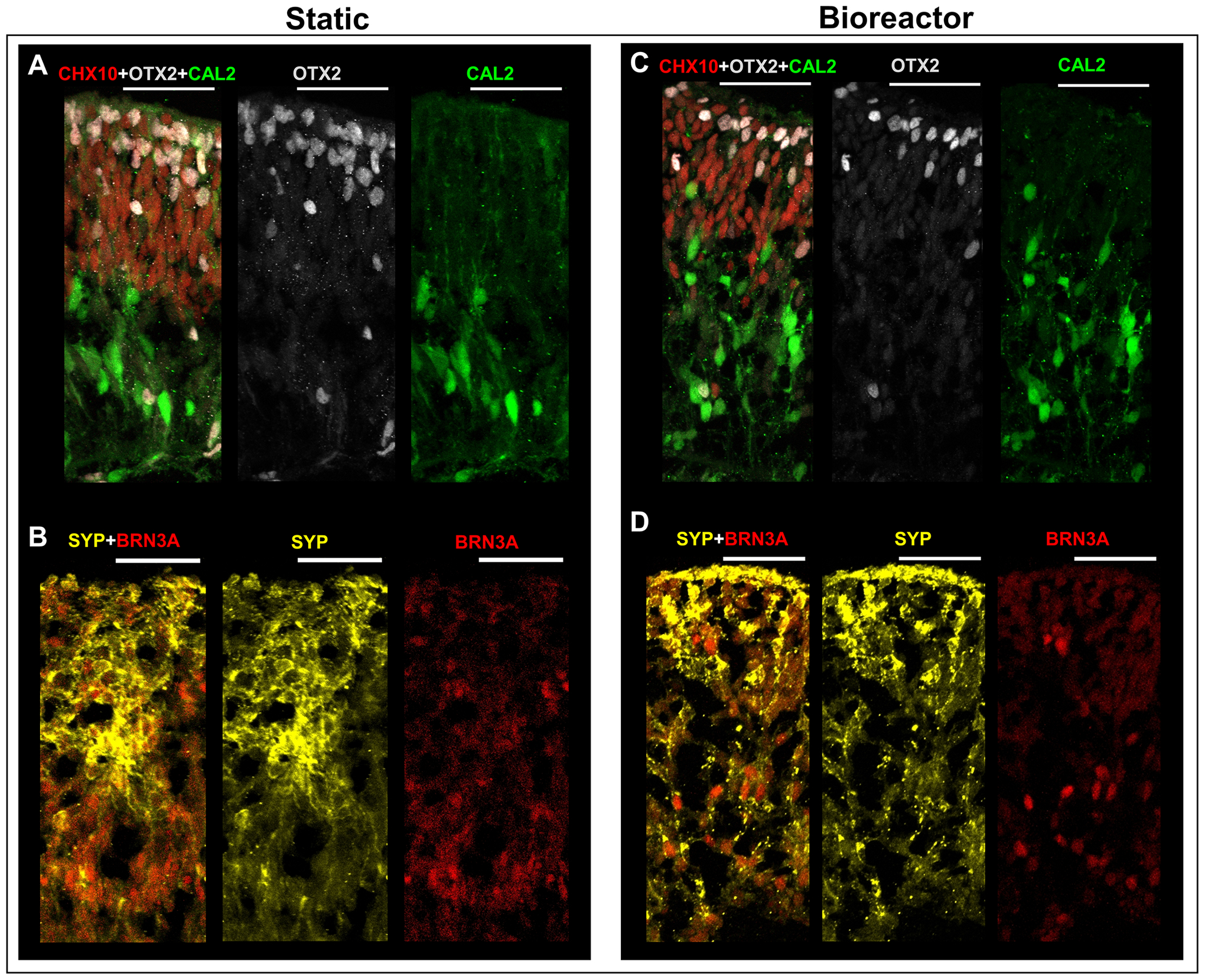 Figure 7: